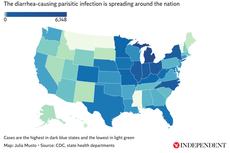 Más de 10.000 casos de un parásito causante de diarrea