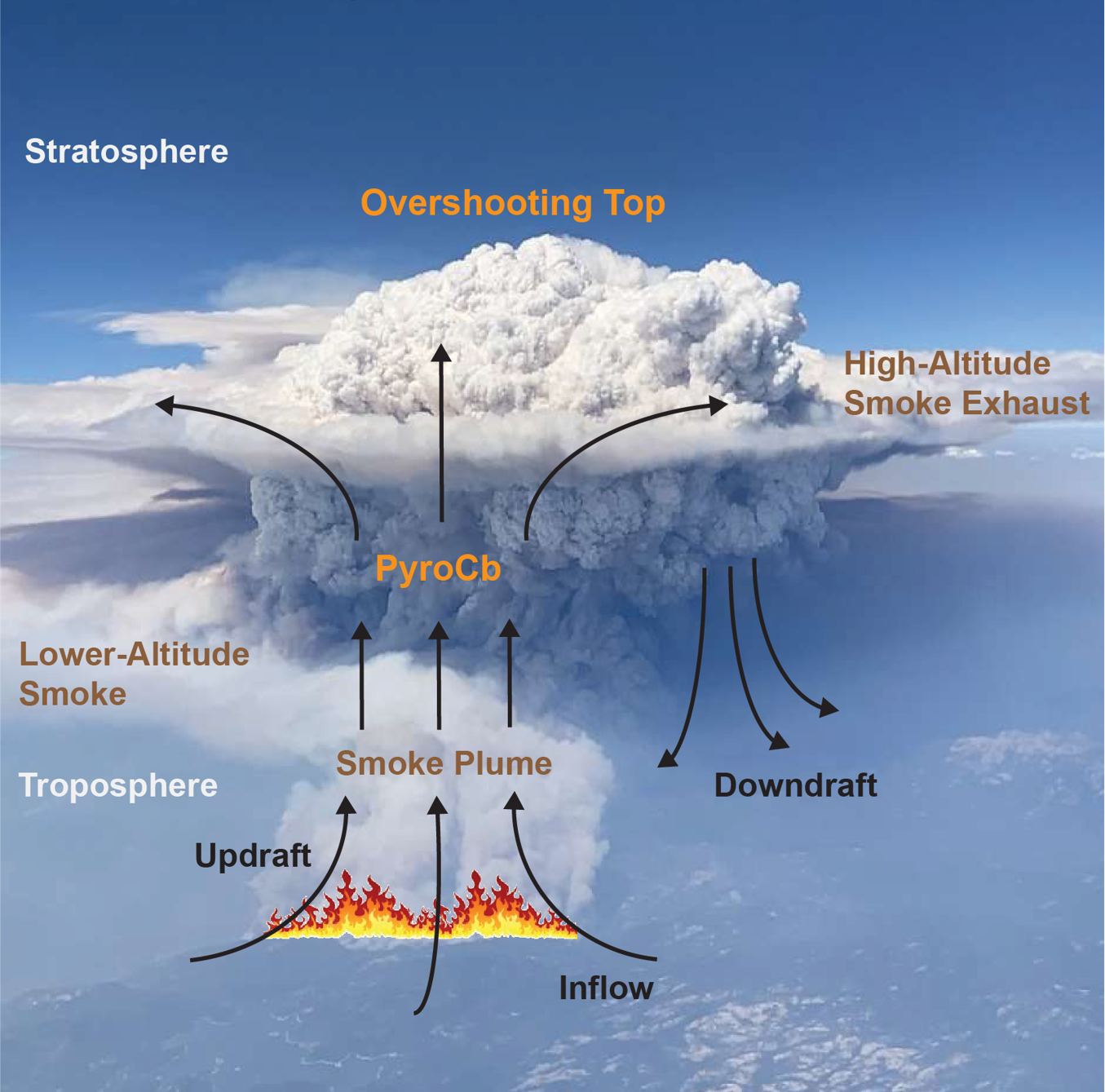 Esta imagen gráfica muestra cómo el humo de un incendio forestal contribuye a que la humedad de la atmósfera se condense formando una nube conocida como pirocumulonimbus
