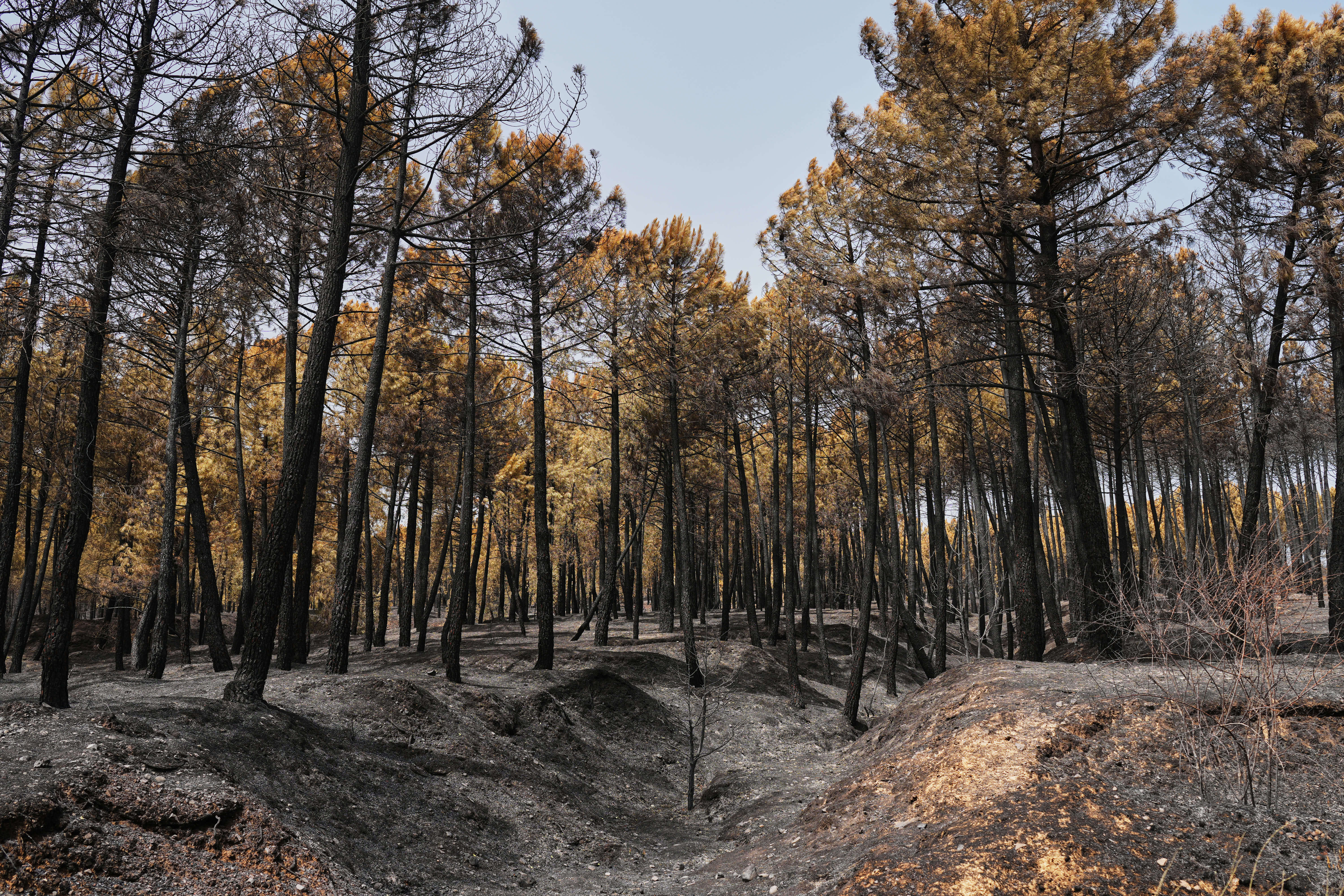 EUROPA-INCENDIOS