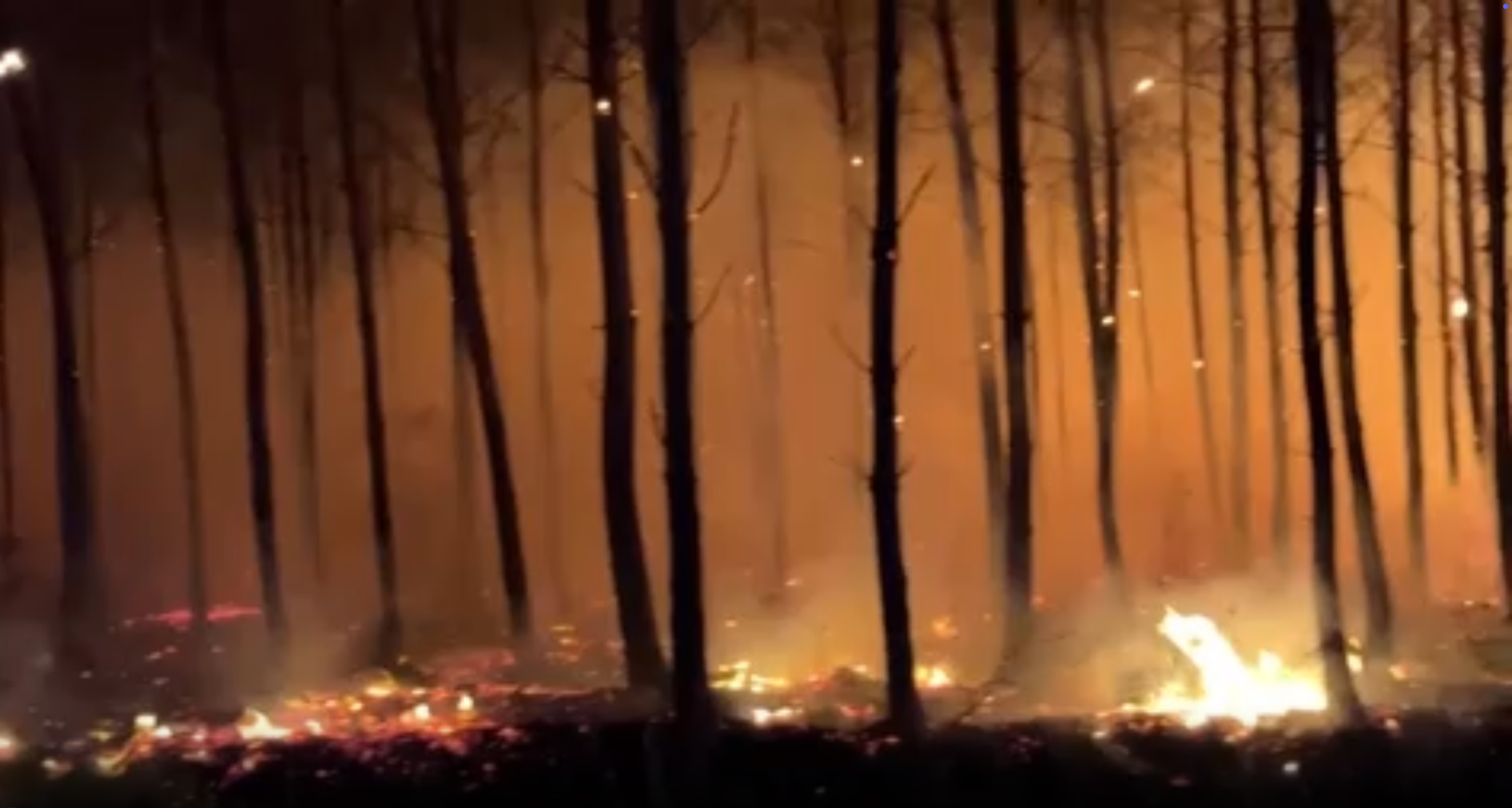 Un incendio forestal cerca de Burdeos, Francia
