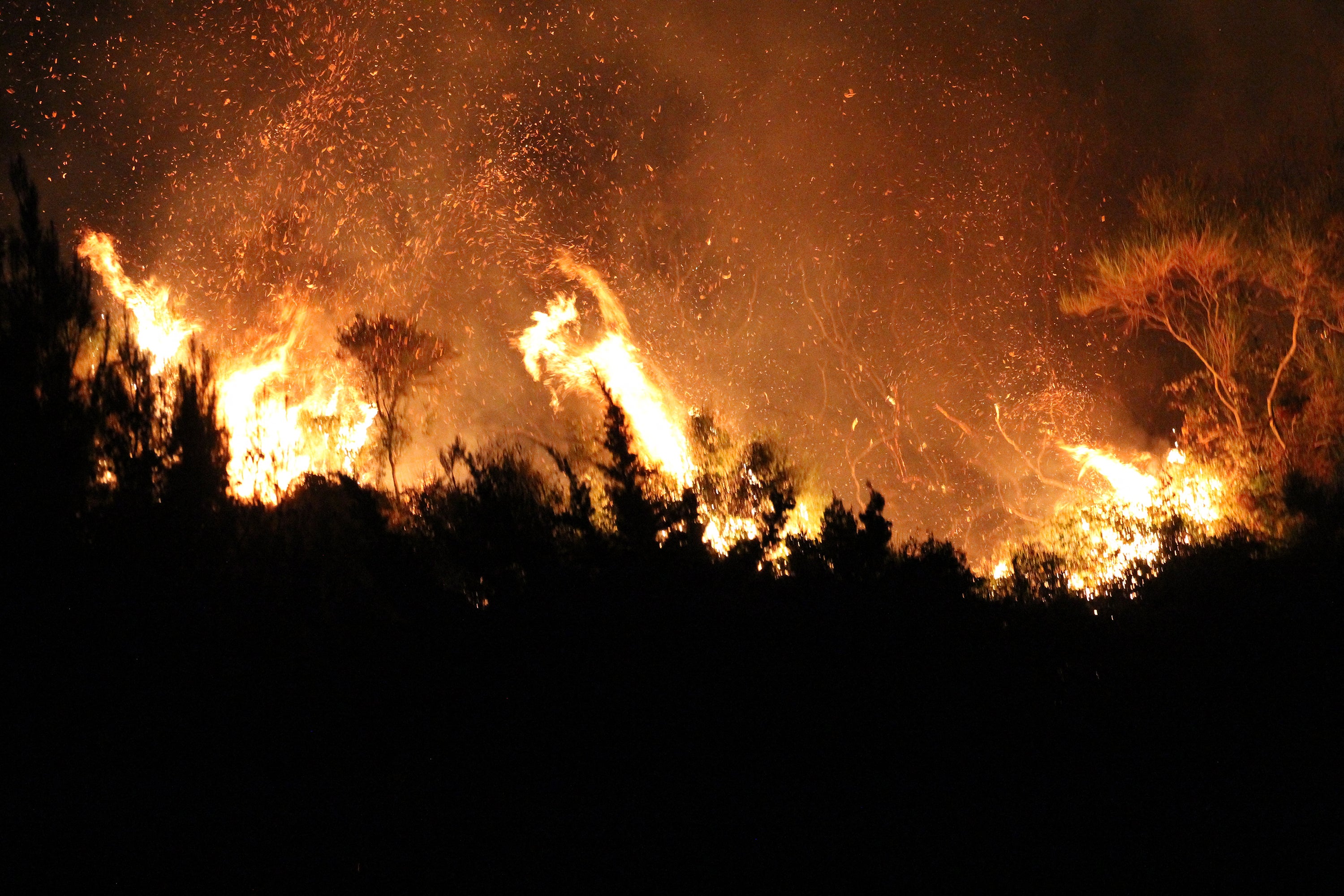 Un incendio forestal consume árboles y pastizales en la zona de Sagana, en el municipio de Monreale, Sicilia, el miércoles