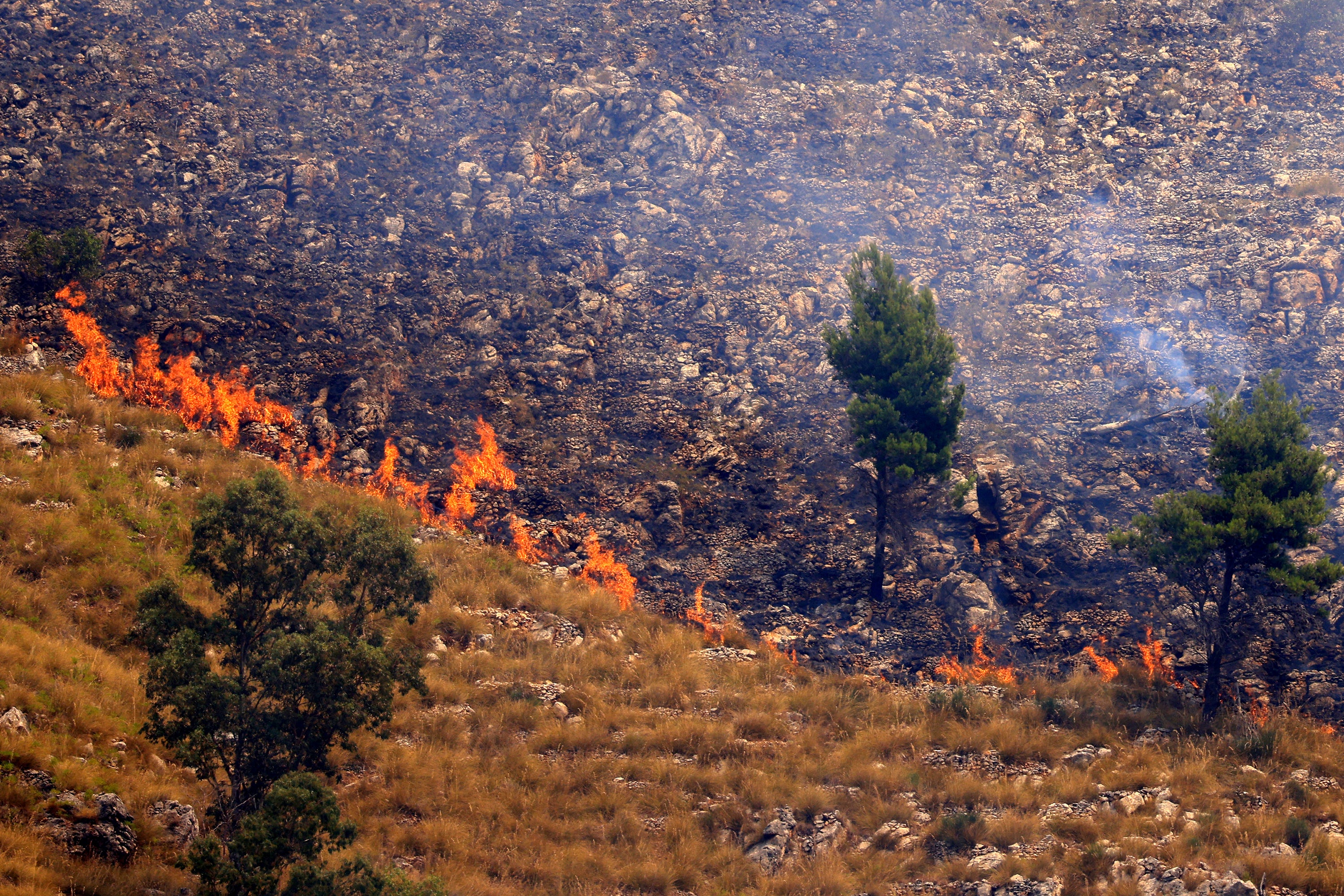 Un incendio forestal en Sagana, en el municipio de Monreale, Sicilia