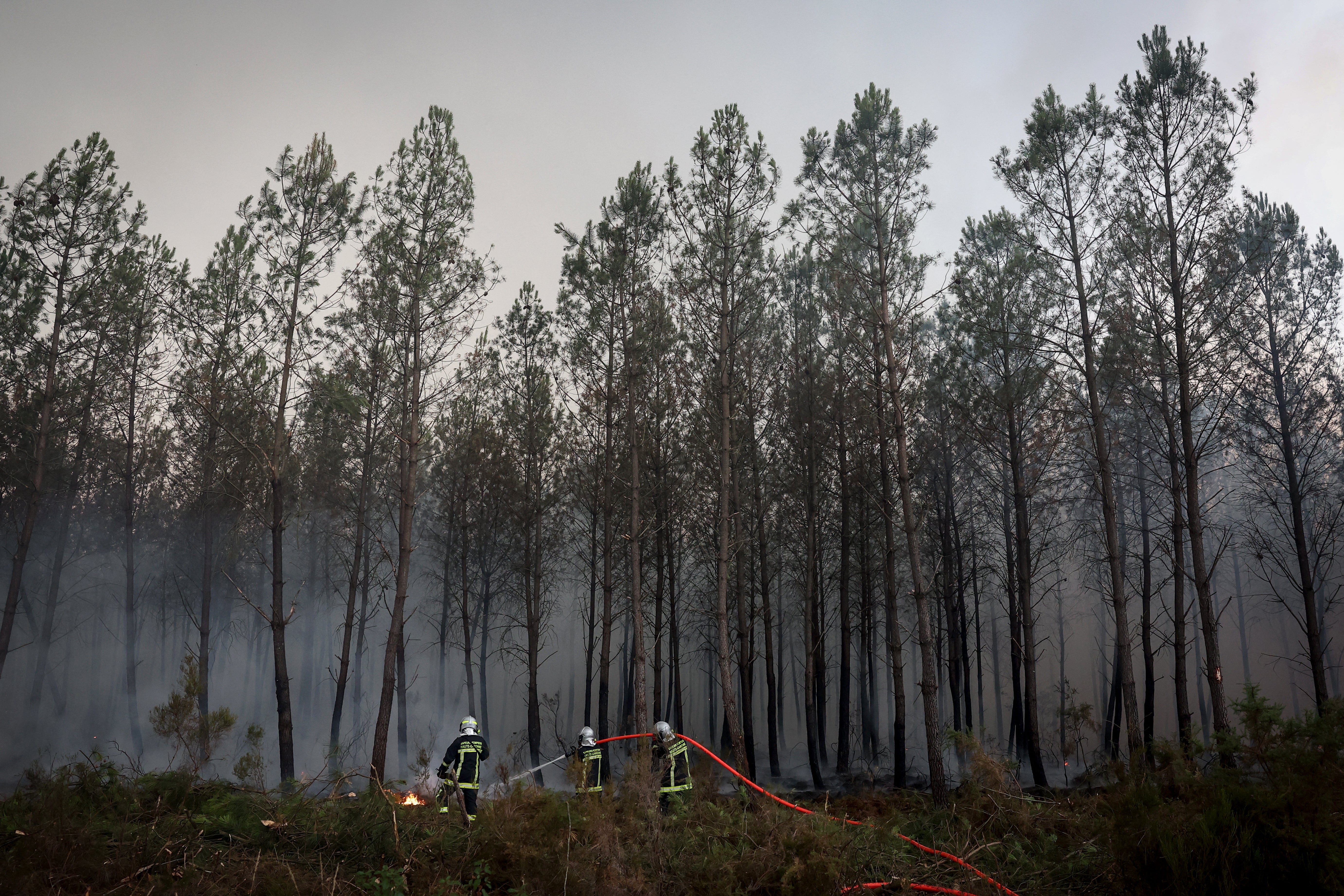 Bomberos combaten un incendio forestal en Saint-Jean-d'Illac, Francia