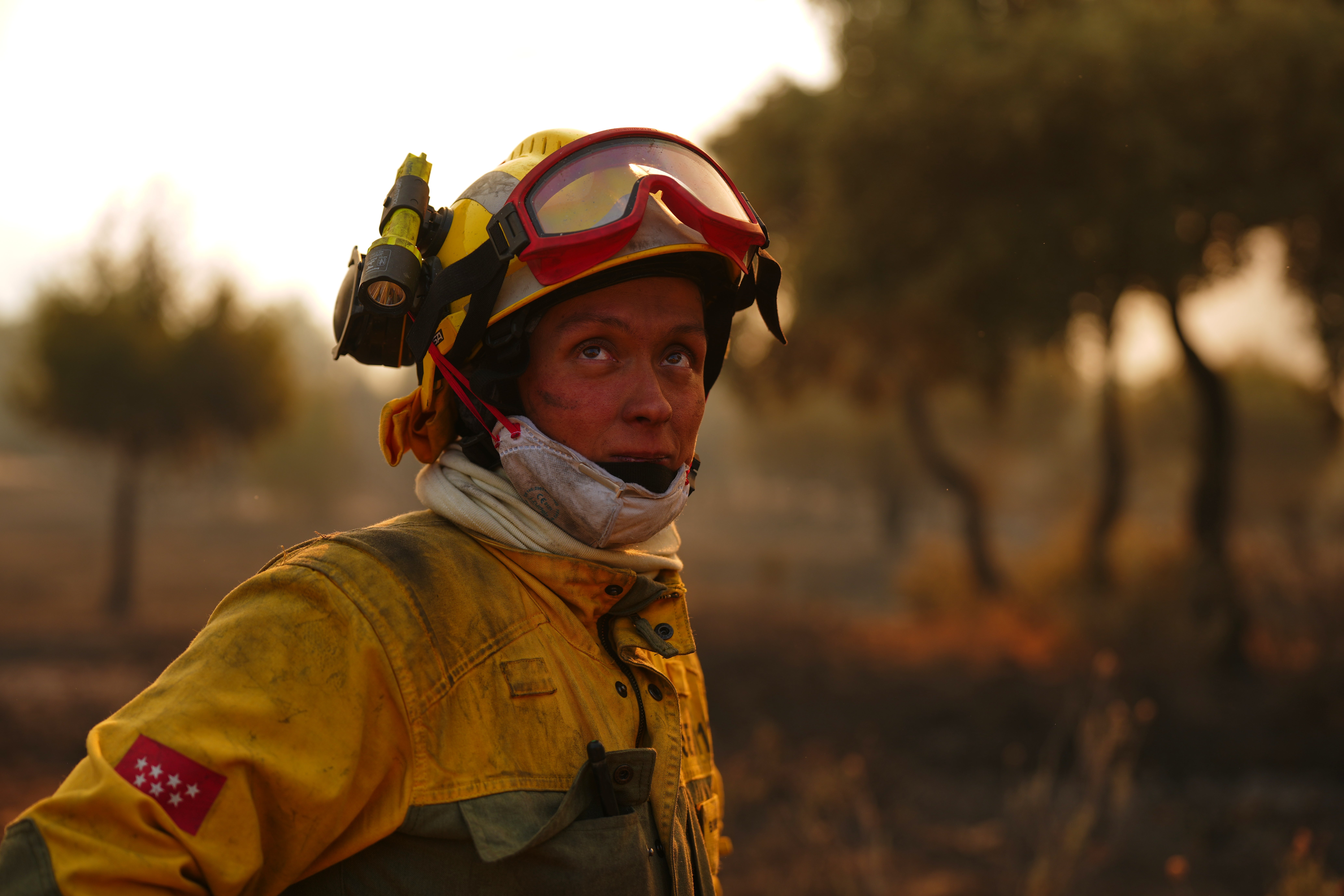 Los bomberos combaten un incendio forestal en San Martín de Valdeiglesias, al oeste de Madrid