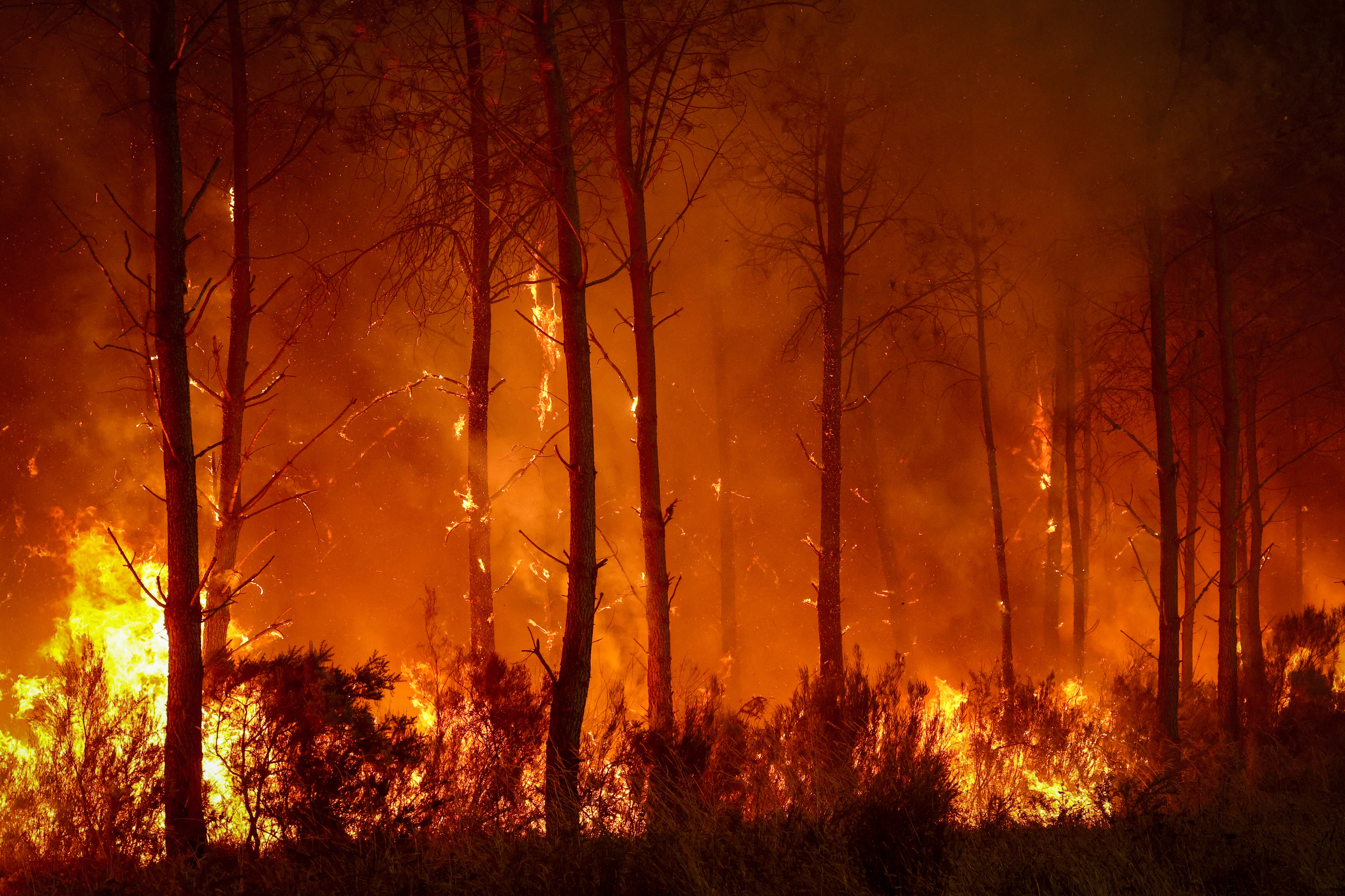 Las 220 000 personas evacuadas debido al enorme incendio forestal en la región francesa de Gironda no podrán regresar a sus hogares «hasta que el fuego esté bajo control», afirmó el prefecto local