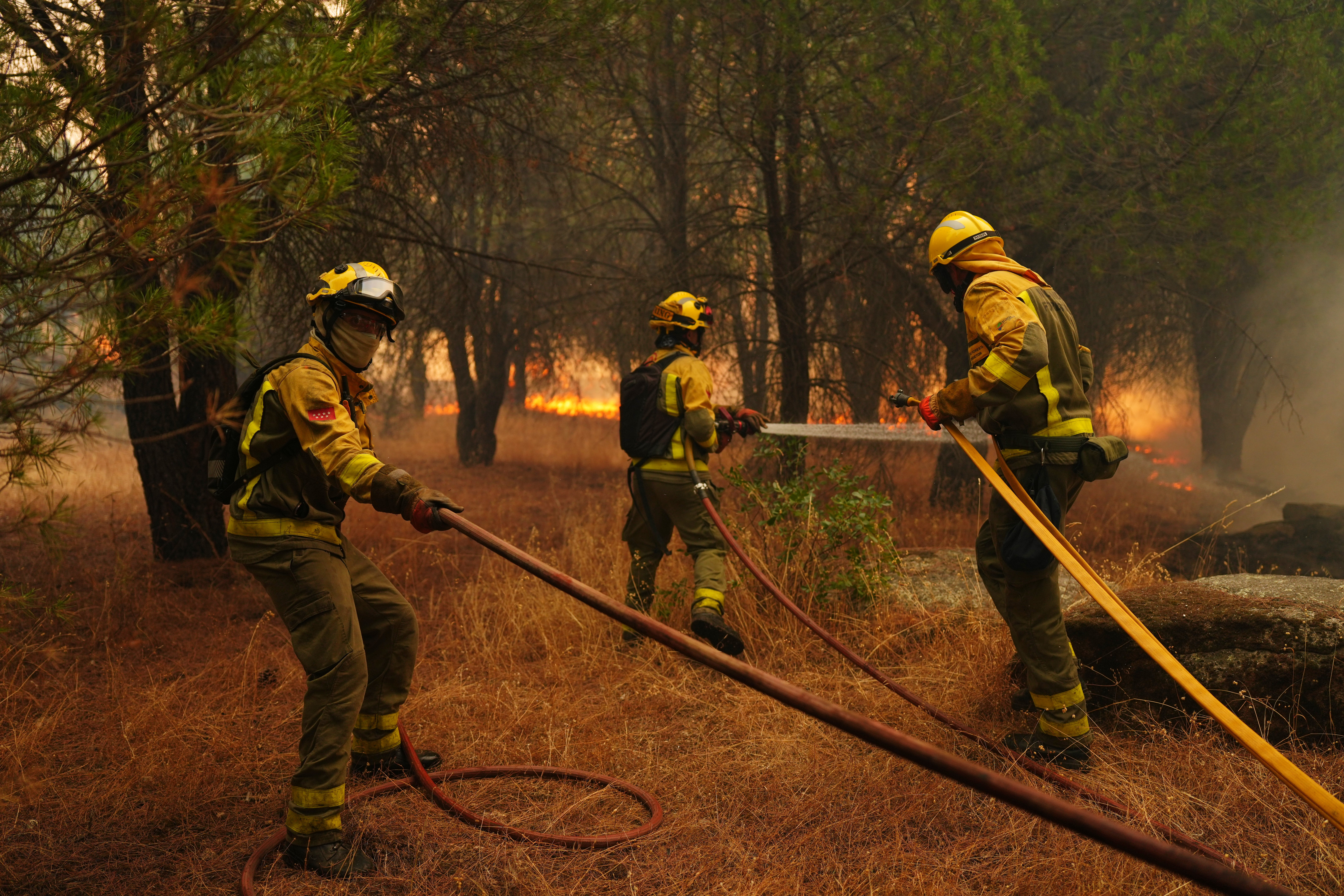 Bomberos combaten un incendio forestal en San Martín de Valdeiglesias, España