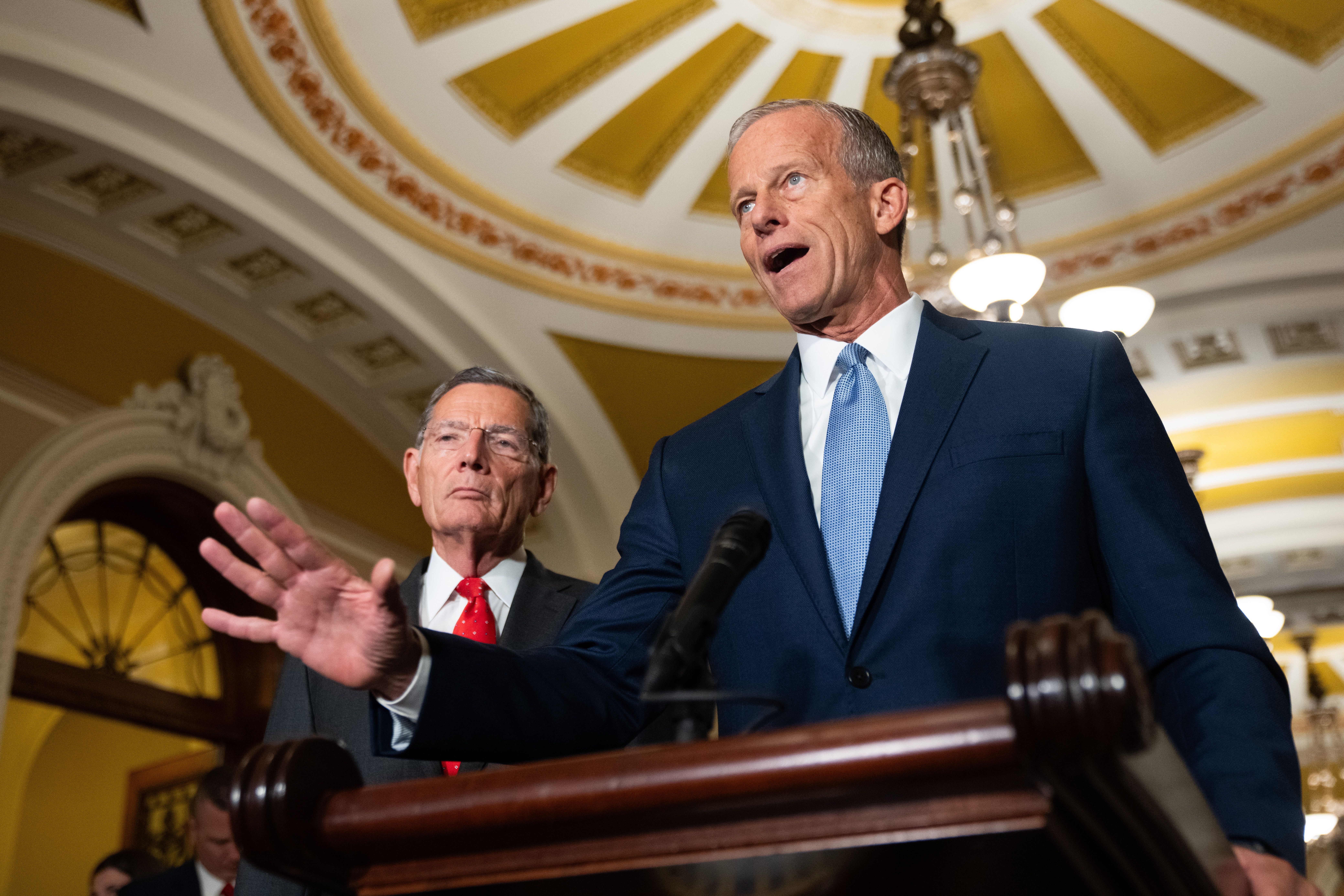 TRUMP SENADO LEY DE VOTACIÓN
