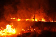 Bomberos españoles describen incendio récord: "hagas lo que hagas no serás capaz de extinguirlo"