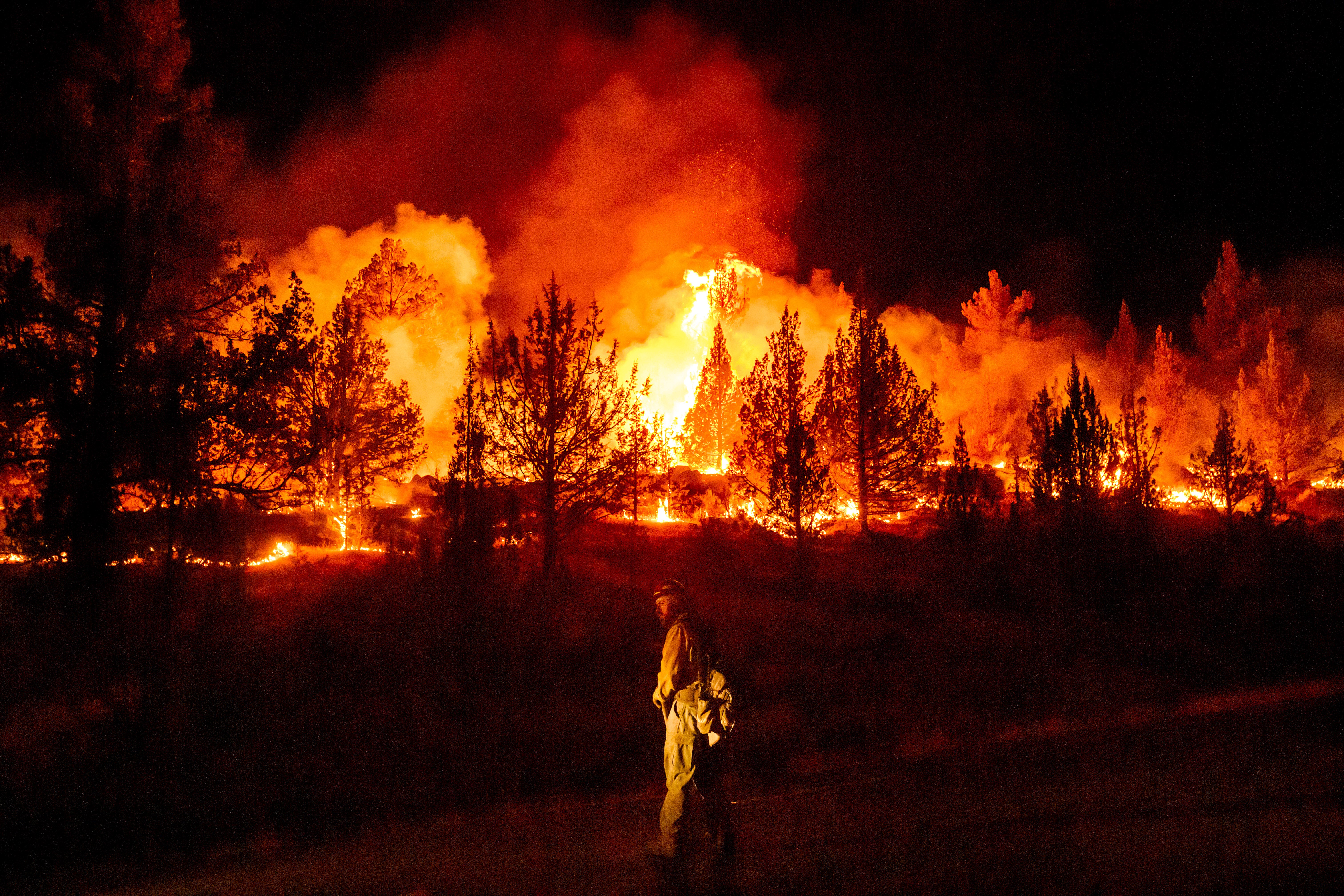 Los incendios son más extremos en Europa y Norteamérica, pero los fuegos se reducen a nivel global