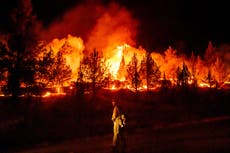 Los incendios son más extremos en Europa y Norteamérica, pero los fuegos se reducen a nivel global
