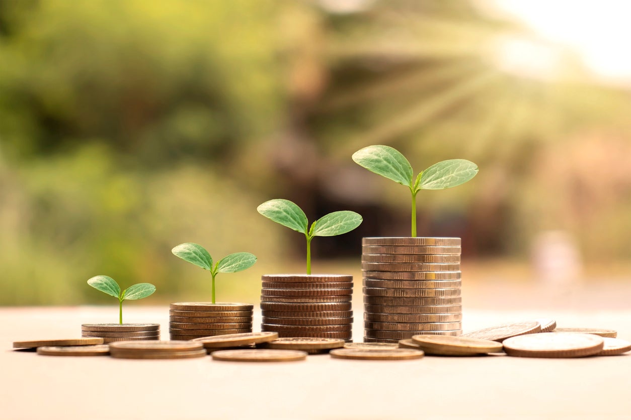 <p>¿Tienes un amigo experto en dinero? Sus consejos podrían valer cientos de dólares  </p>
