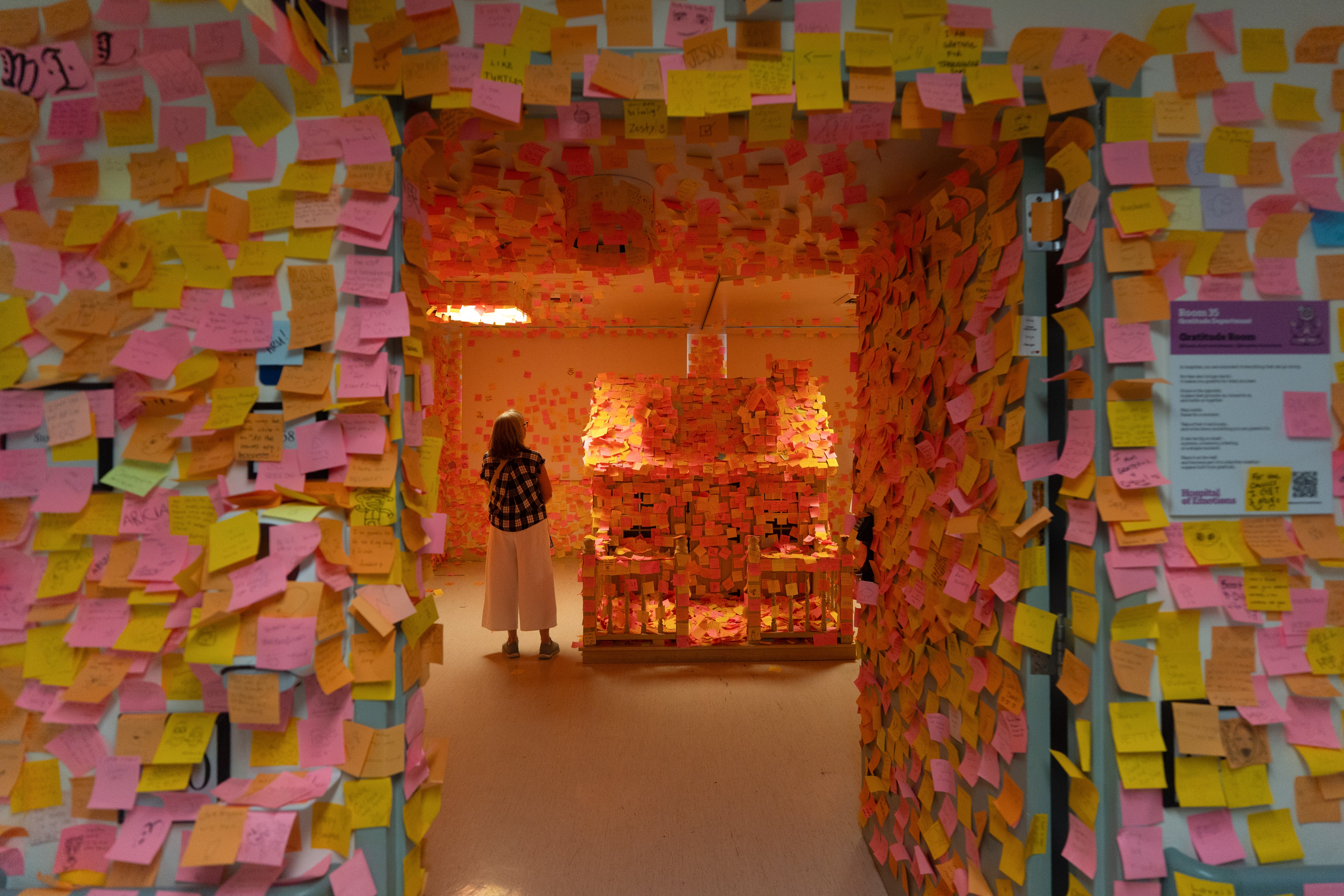 HOSPITAL DE LAS EMOCIONES