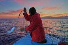 Las aguas cada vez más cálidas del Mediterráneo atraen a cientos de especies invasoras