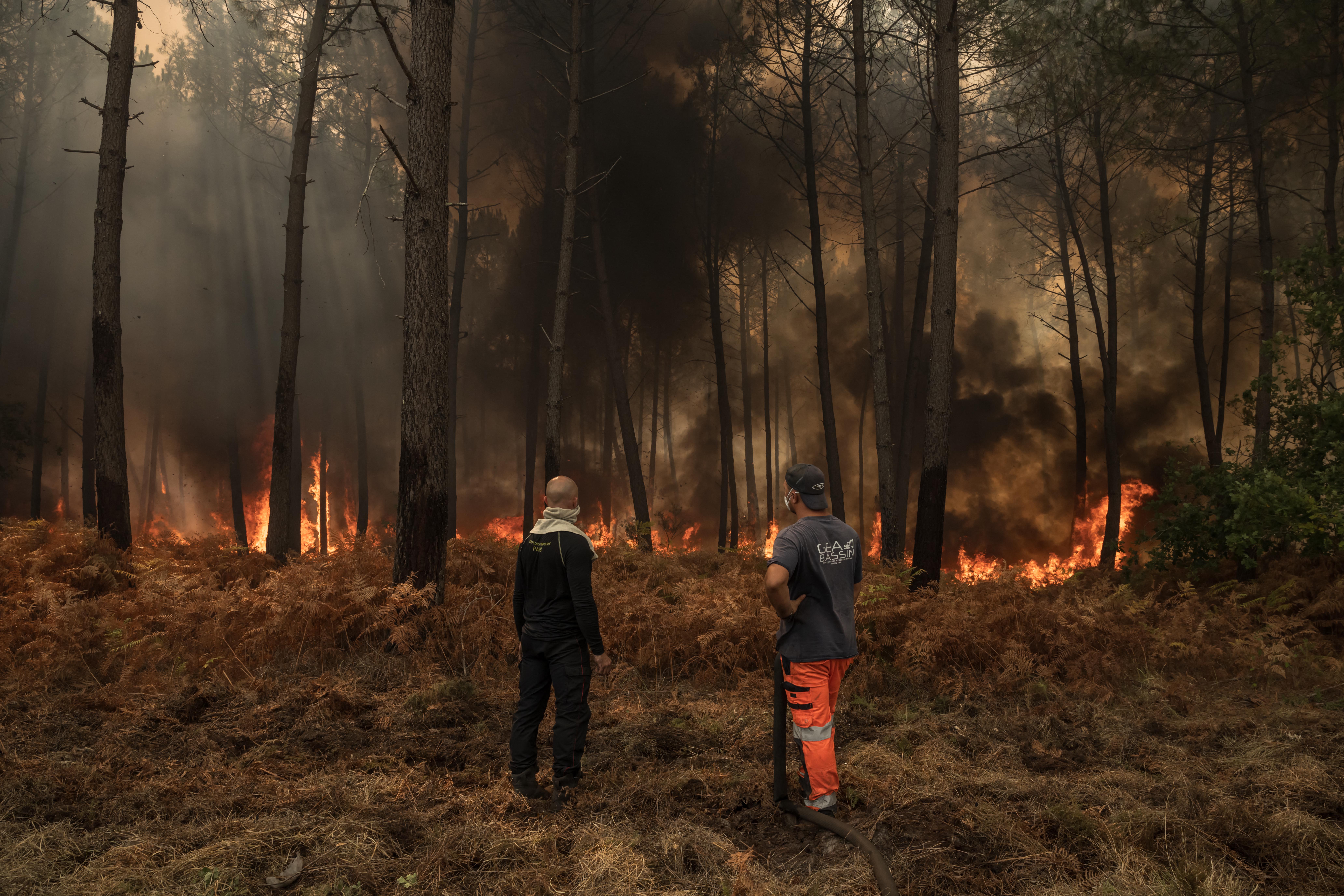 Voluntarios ayudan a los bomberos a combatir un incendio forestal en Lanton