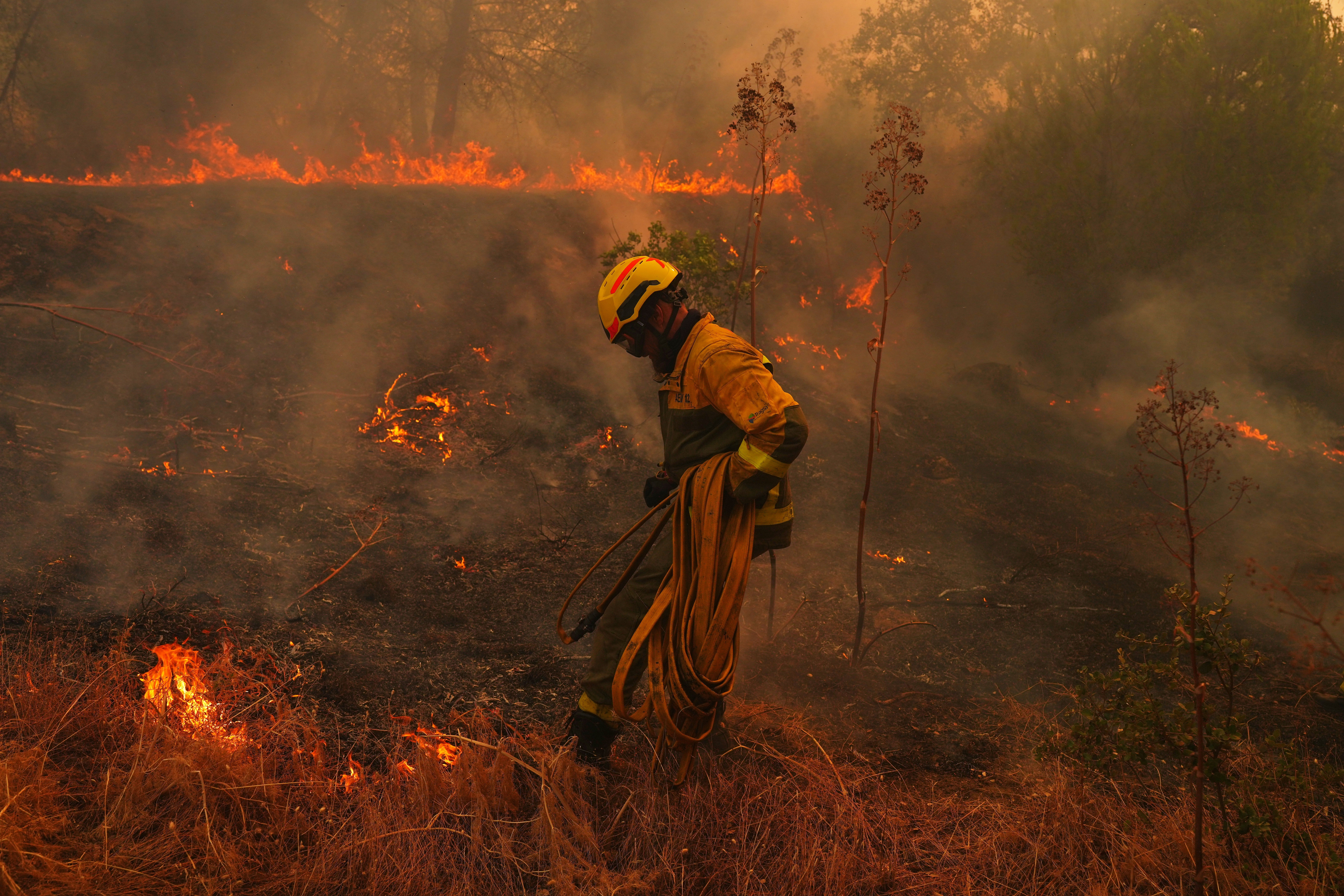 Los incendios forestales causaron graves daños en la Comunidad de Madrid