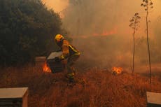 La ONU advierte que un inusual fenómeno de El Niño empeorará “un planeta que ya está en llamas”