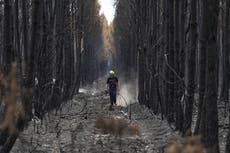 Francia contiene el incendio cerca de Burdeos mientras 1.500 bomberos combaten otro en Provenza