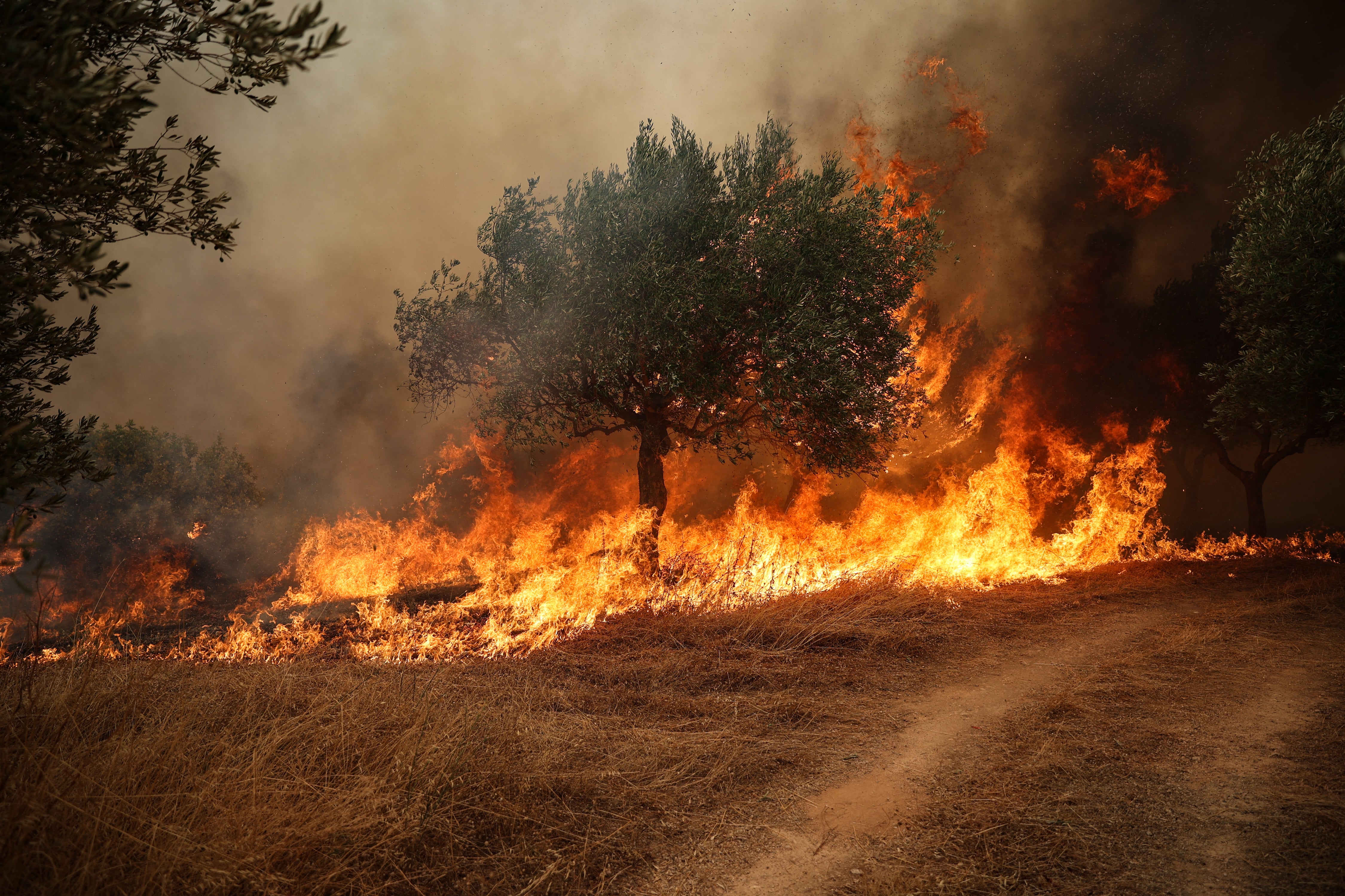 Gran parte del sur de Grecia, incluida la región de Atenas, enfrenta un alto riesgo de nuevos incendios forestales esta semana