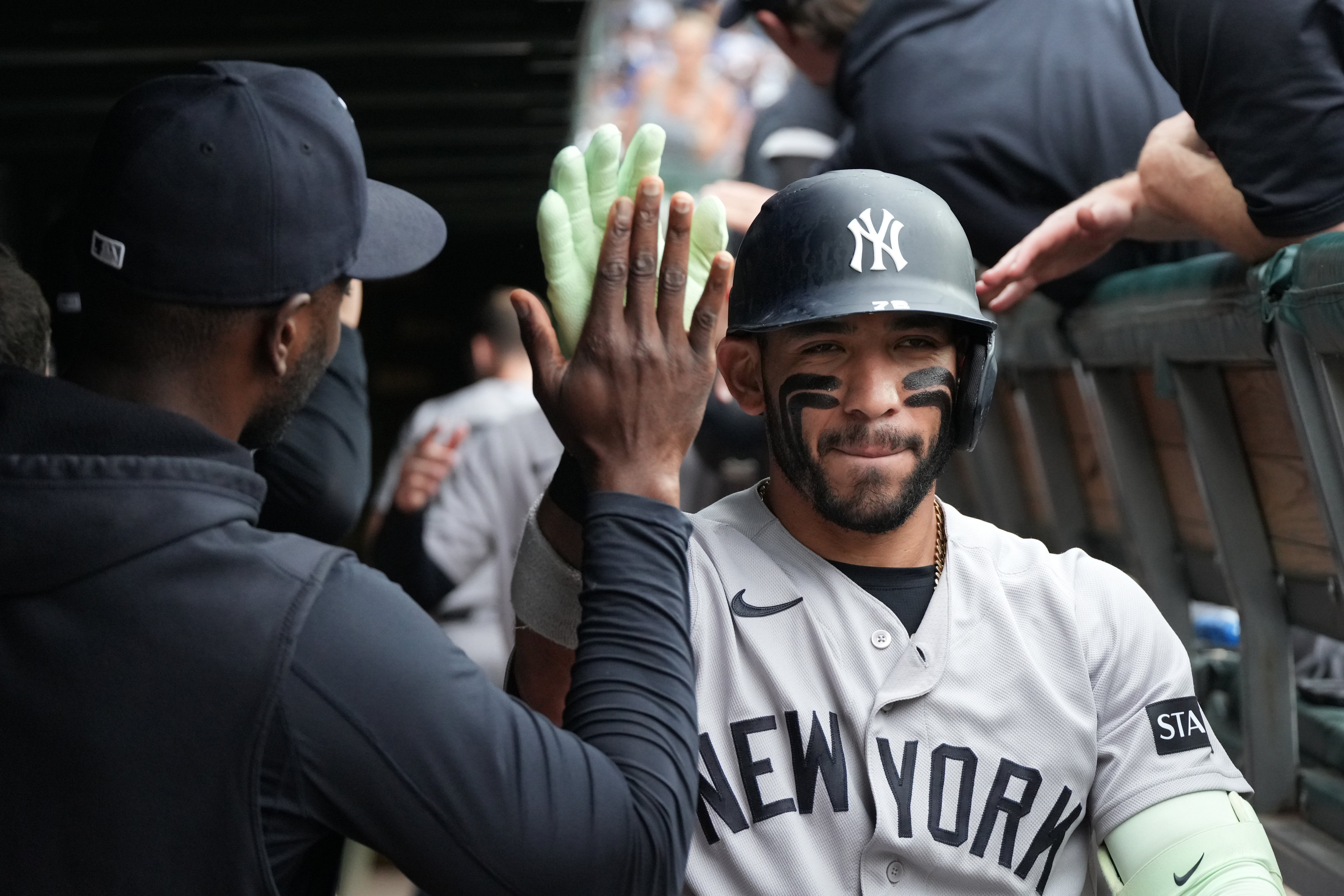 YANKEES-CACHORROS