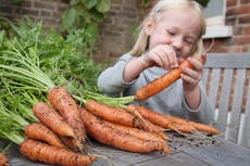 Las verduras ahora son la mitad de nutritivas que hace 60 años