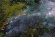 Policía de Brasil lanza operativo por presunto uso de químicos para deforestar Amazonía