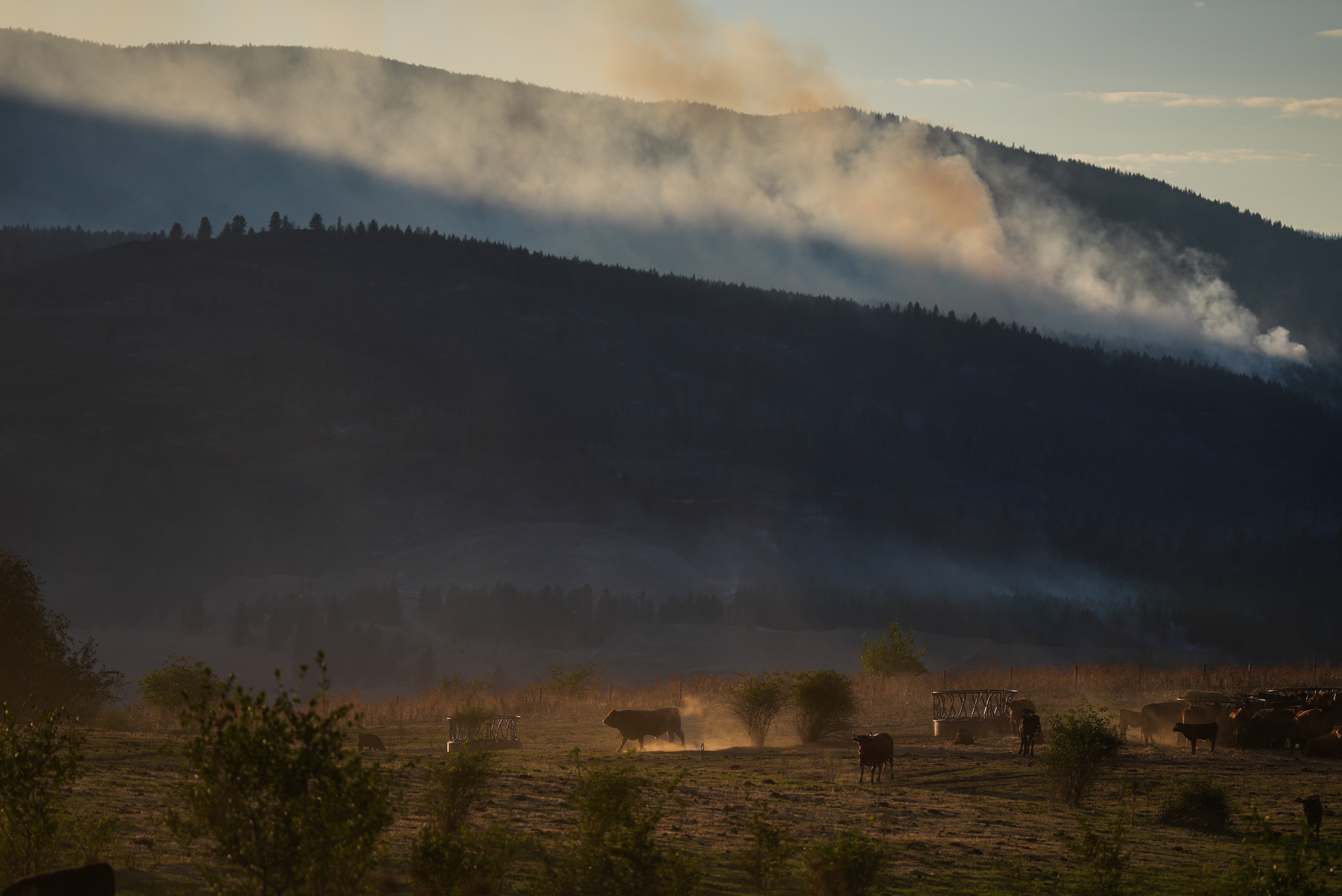 CANADÁ-INCENDIOS