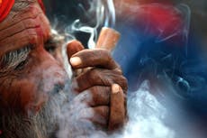 La provincia nepalí de Gandaki legaliza el cultivo y uso de cannabis medicinal