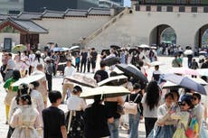 Ola de calor récord afecta a personas y animales en Japón y en la península coreana