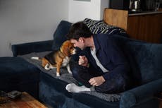 Los beagles modificados genéticamente podrían ser una opción futura para alérgicos a perros