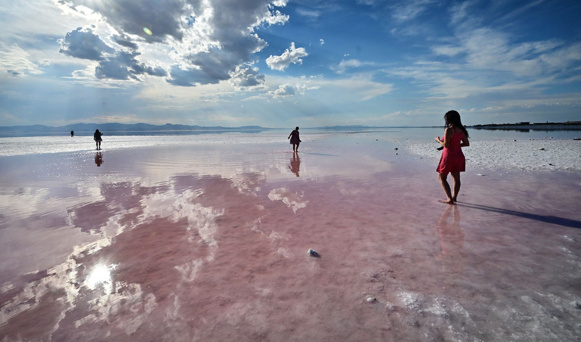 Personas ingresan a las aguas rosadas del Gran Lago Salado, en Utah. En los alrededores, algunas trampas han capturado casi 30.000 mosquitos en una noche