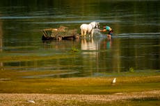 Ola de calor extremo en Europa: Eslovaquia y Austria alcanzan temperaturas récord