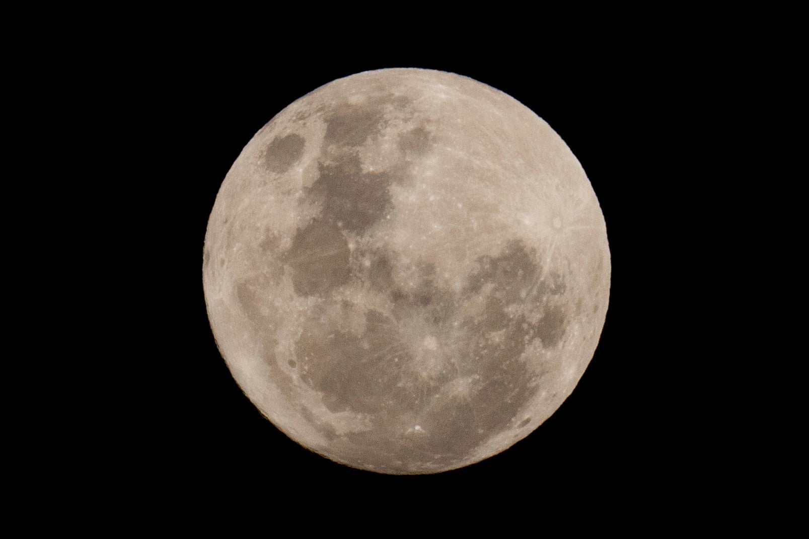 SPACEX-LUNA