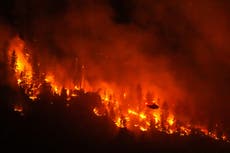 Trump culpa a Canadá de los incendios forestales, pero expertos apuntan al calentamiento global