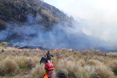 Incendio quema 60 hectáreas en parque nacional de Indonesia