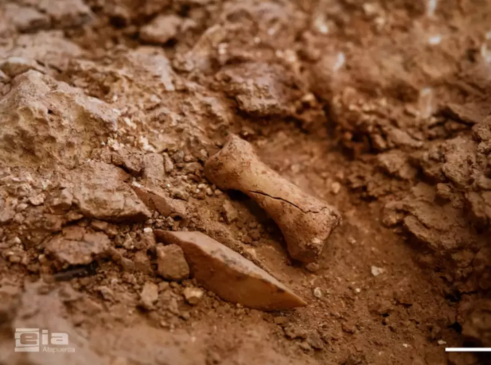 Un nuevo fósil de Homo antecessor hallado en una cueva de España