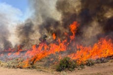 Se estrella helicóptero que combatía incendio forestal en Utah; se desconoce estado de los pilotos