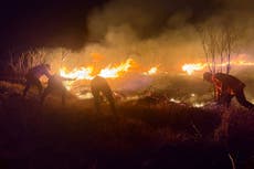 Crece el incendio forestal en un parque nacional de Indonesia