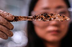 Una empresa fabrica plásticos biodegradables a partir de azúcar