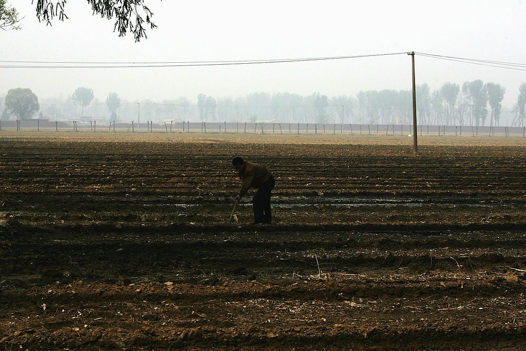 Un agricultor chino trabaja en un campo en las afueras de Beijing, China, el 16 de abril de 2008