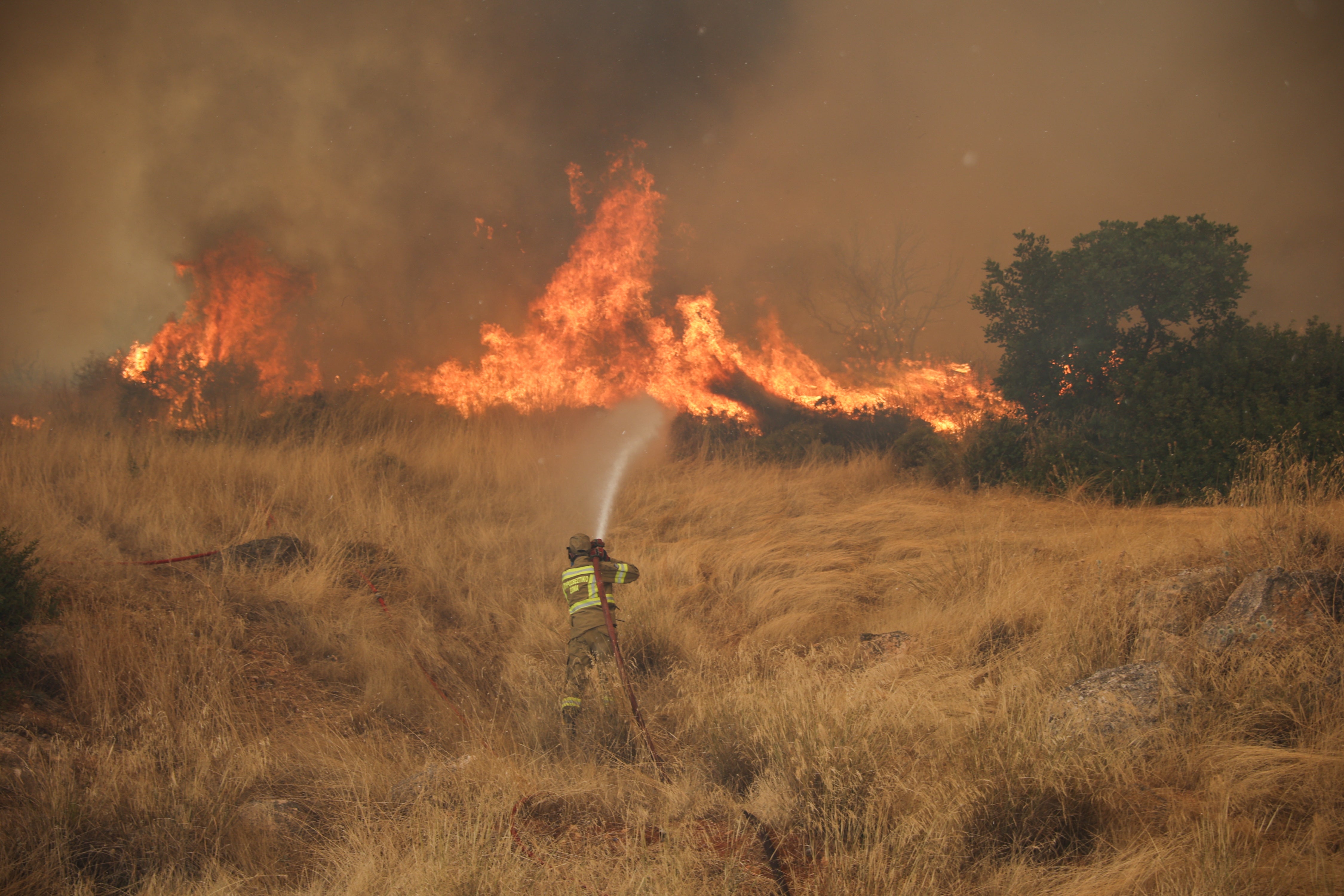 Al menos cinco bomberos murieron mientras combatían los incendios forestales en Grecia