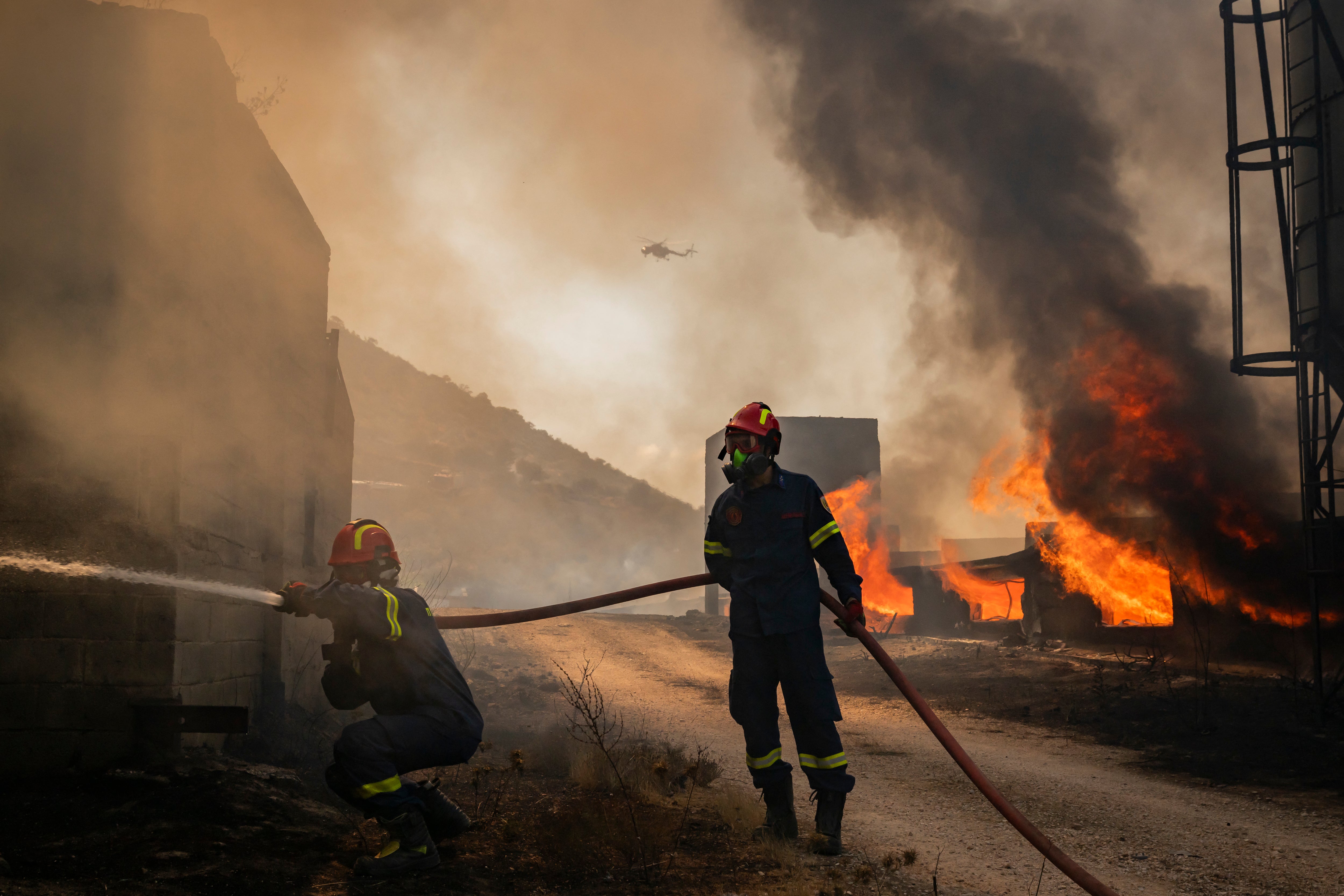 Bomberos combaten un incendio en una instalación ganadera cerca de Kouvaras, al sur de Atenas