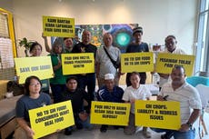 Agricultores y ecologistas de Malasia piden rechazar prueba de arroz transgénico