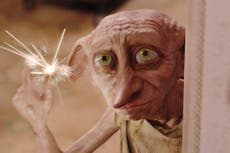 Fans adultos de Harry Potter van demasiado lejos para proteger la “tumba” de Dobby