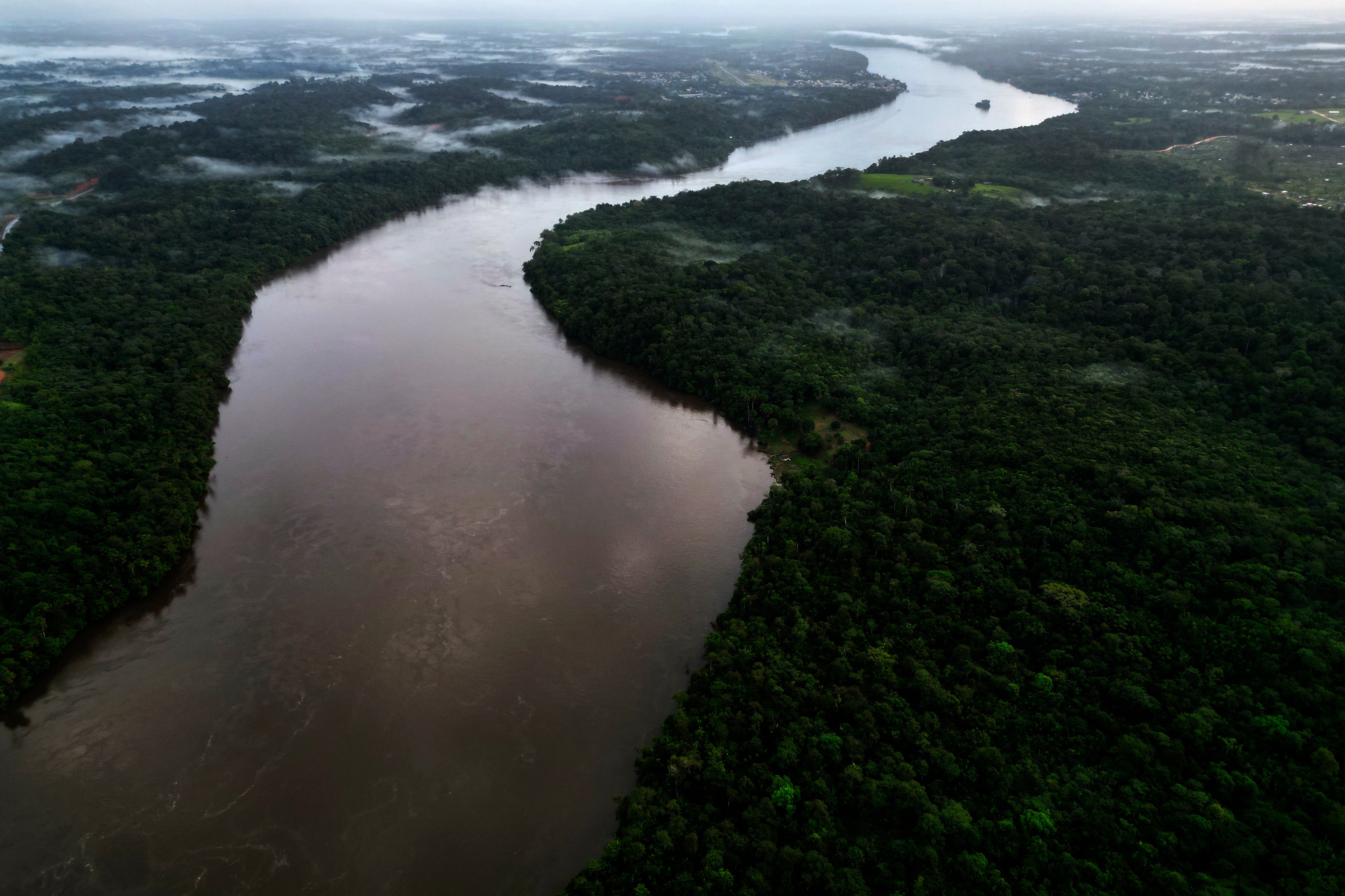 El Supremo Tribunal Federal de Brasil revisará casos clave sobre Amazonía y tierras indígenas
