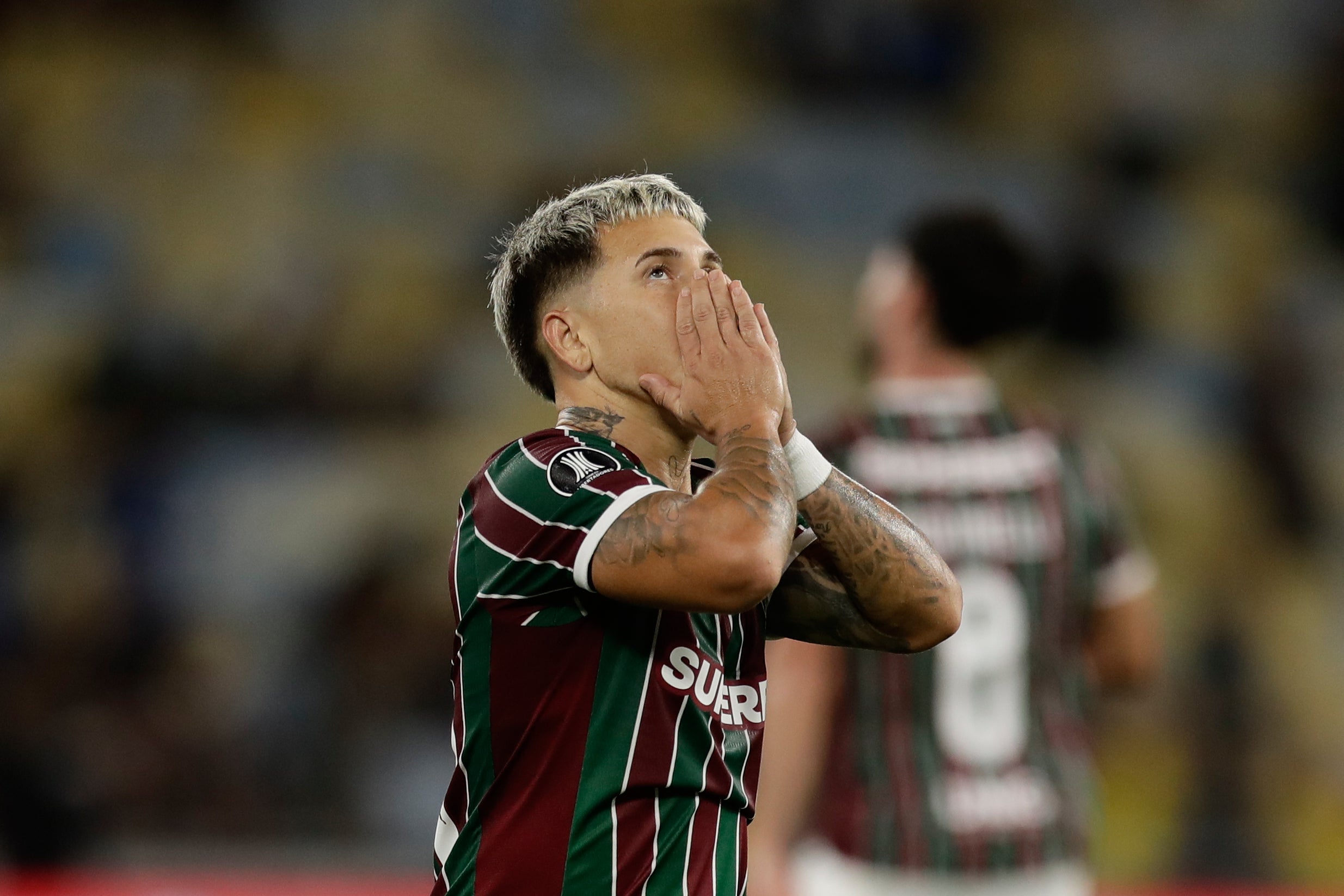 LIBERTADORES-RESUMEN