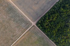 Supremo Tribunal de Brasil respalda leyes que hundieron la moratoria de la soya en la Amazonía