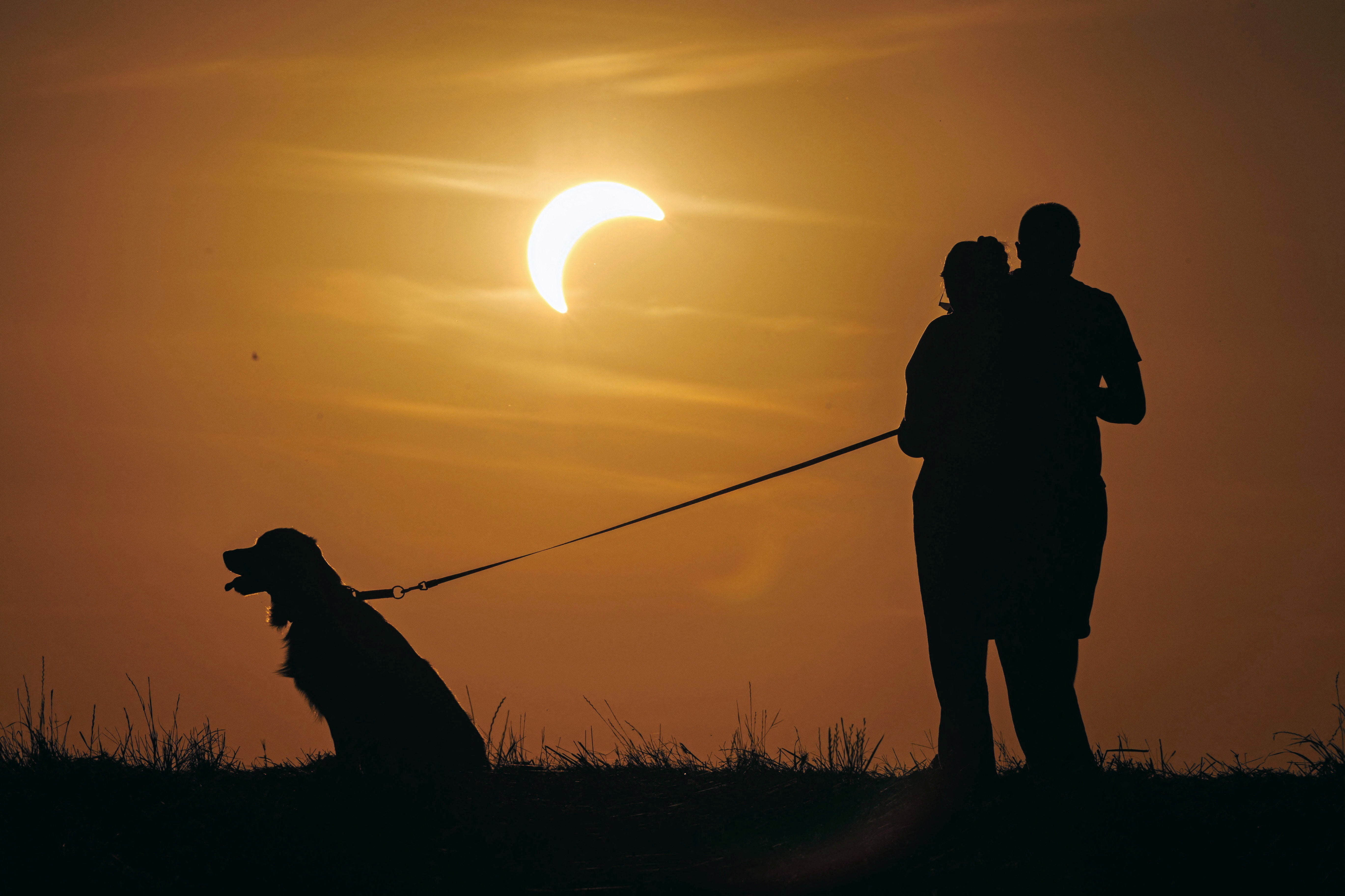 Varias personas observan un eclipse solar parcial junto a un perro en Poznan, Polonia, el 12 de agosto de 2026