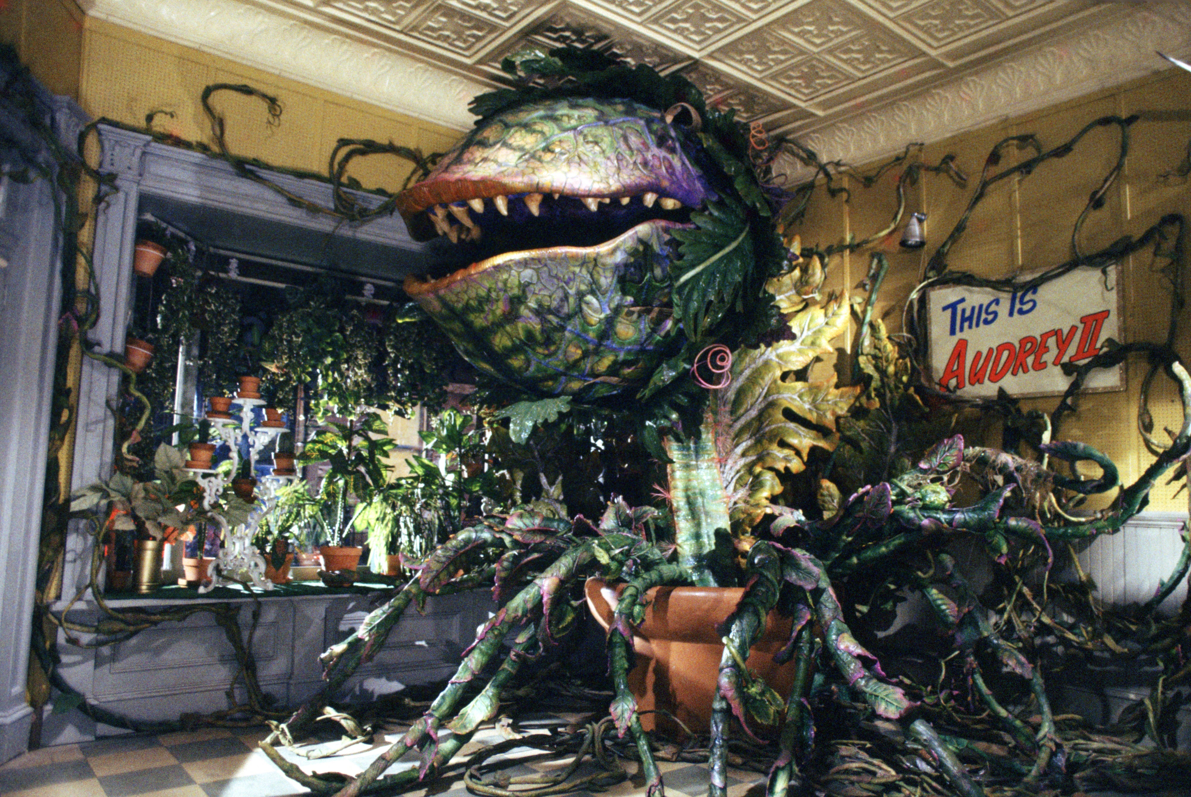 LITTLE SHOP OF HORRORS-ANIVERSARIO