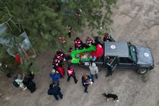 Santuarios de EEUU y Sudáfrica serán el nuevo hogar de 30 tigres y leones de ex zoológico argentino