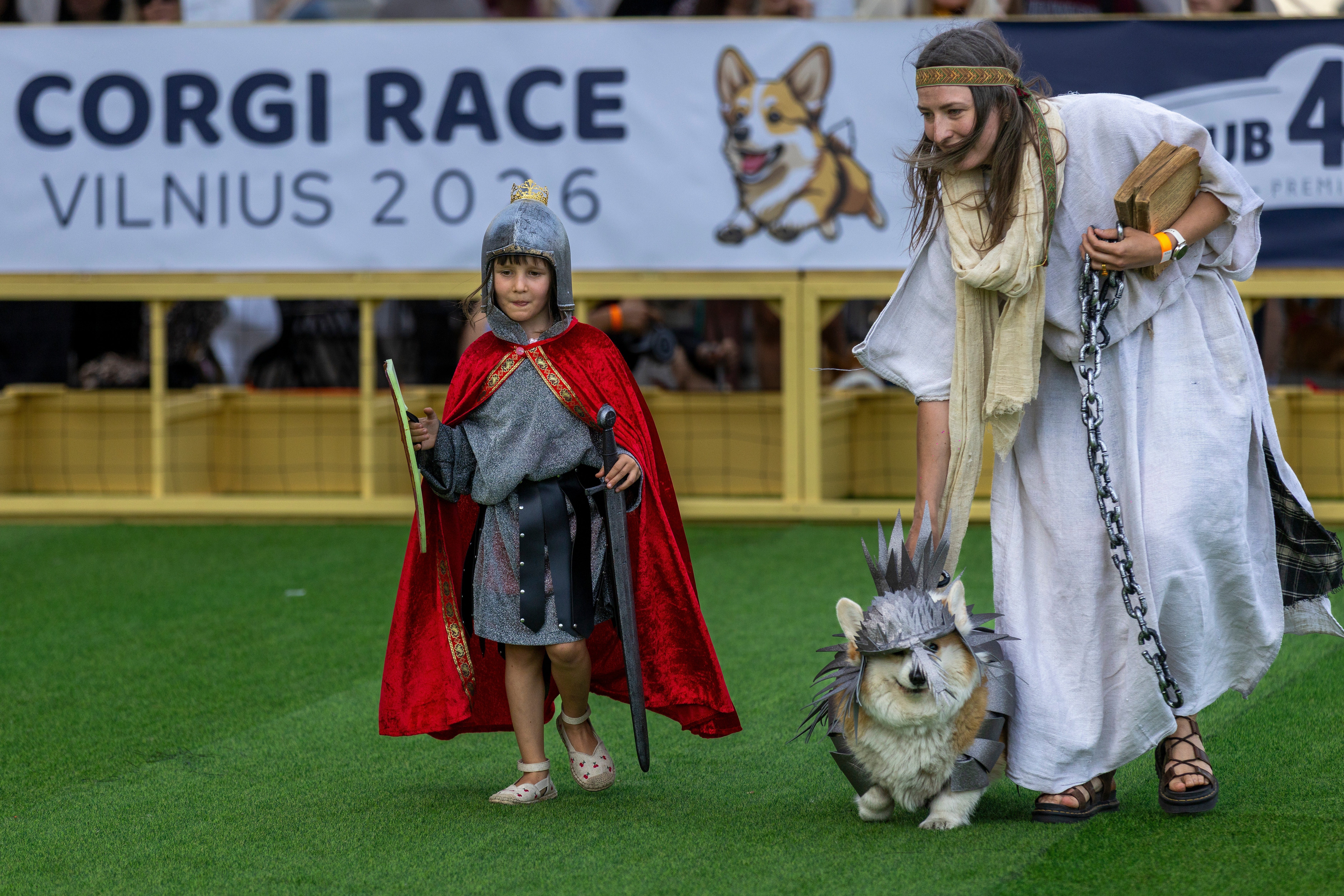 LITUANIA-CARRERA DE CORGIS